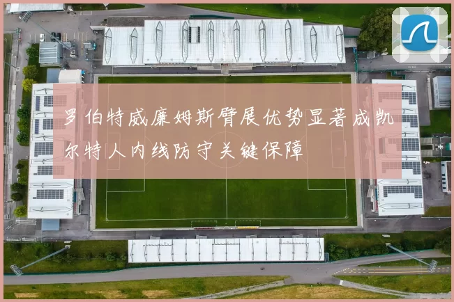 罗伯特威廉姆斯臂展优势显著成凯尔特人内线防守关键保障