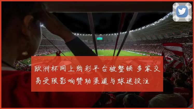欧洲杯网上购彩平台被整顿 多家交易受限影响赞助渠道与球迷投注