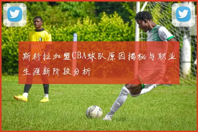 斯科拉加盟CBA球队原因揭秘与职业生涯新阶段分析