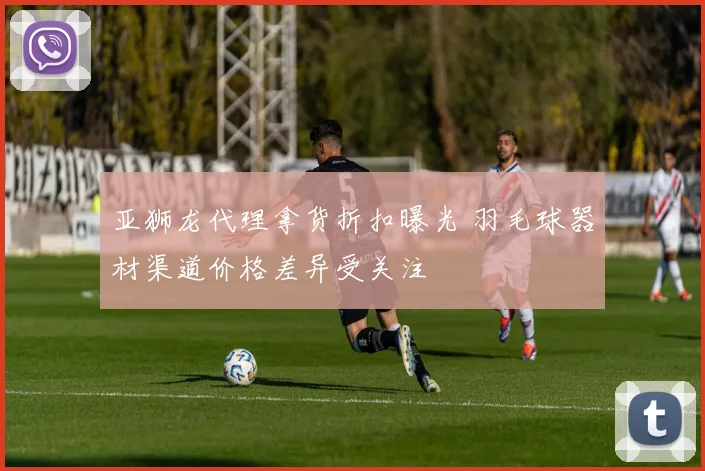 亚狮龙代理拿货折扣曝光 羽毛球器材渠道价格差异受关注