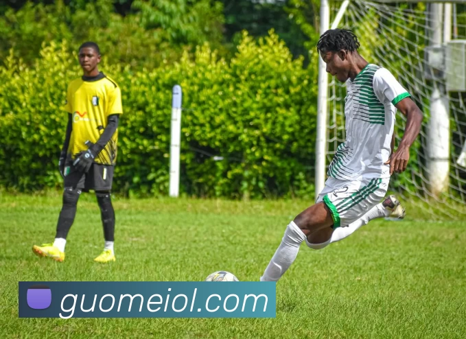 App Interface Preview